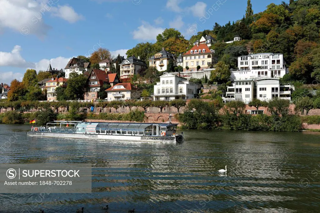 Tourist boat passing villas on the Neckar River, Heidelberg, Baden-Wuerttemberg, Germany, Europe