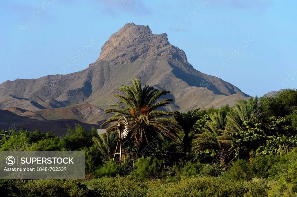 Windmill in front of palm trees, at the Mindelo - Calhau road, Sao Vicente, Cape Verde, Africa