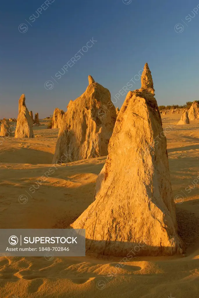 Pinnacles near Cervantes north of Perth, Nambung National Park, Western Australia, Australia
