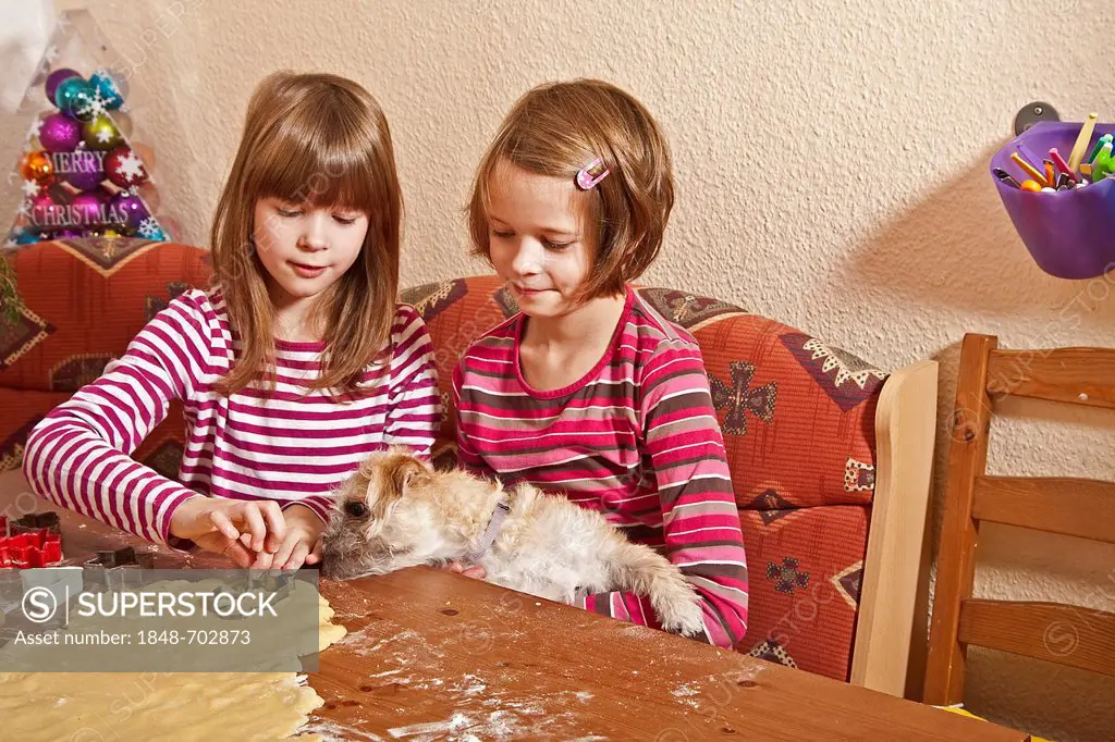 Twin girls, with a dog, cutting out cookies