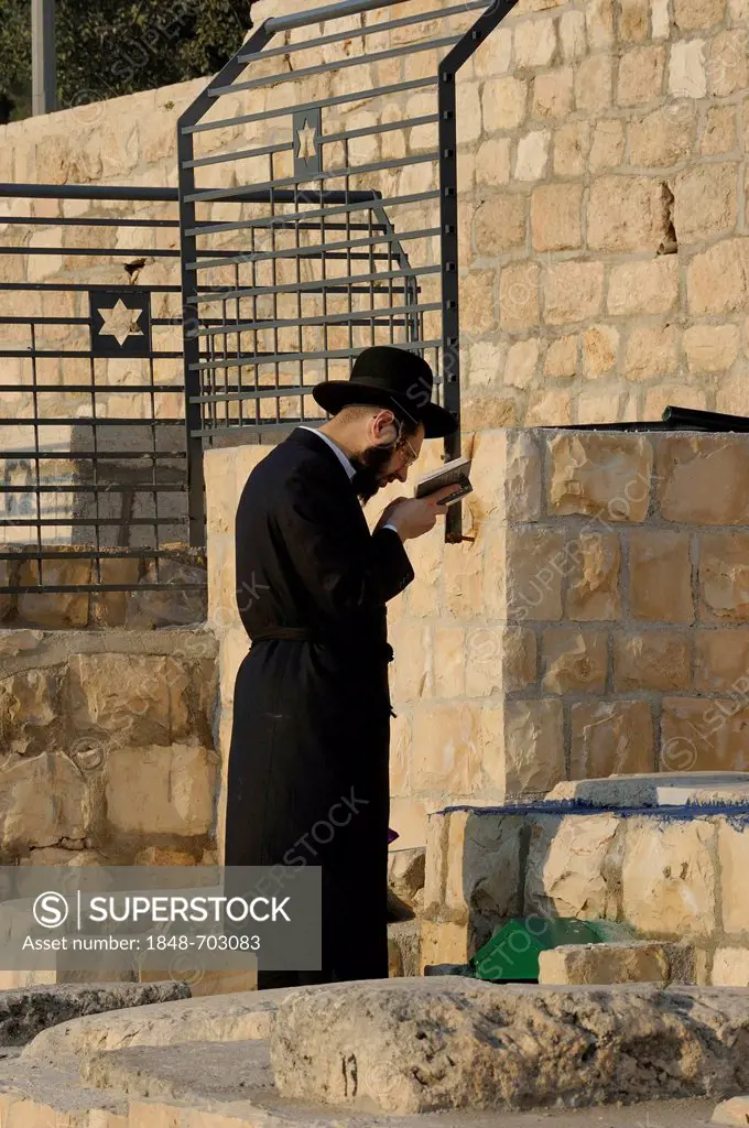 Orthodox Jew during evening prayer in the Jewish cemetery on the Mount of Olives, Jerusalem, Israel, Middle East