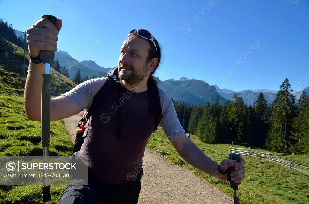 Young man hiking with trekking poles on one of the hiking trails in the Berchtesgadener Land, Gotzenalm alp, Schoenau, Koenigssee, Bavaria, Germany, E...