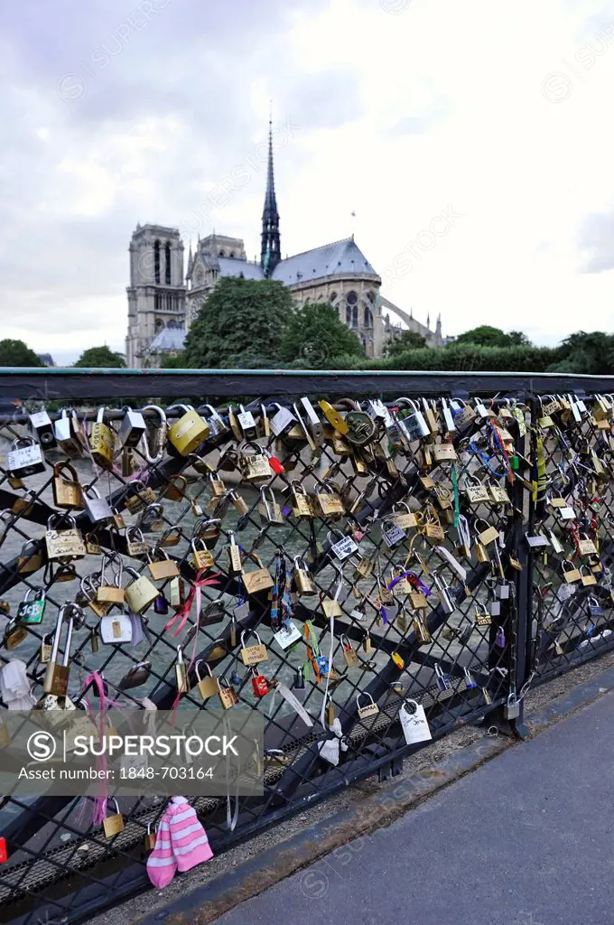 Love padlocks on the rails of Pont de L'Archeveche bridge, Notre Dame de Paris or Notre Dame Cathedral at back, Ile de la Cité, Paris, France, Europe,...