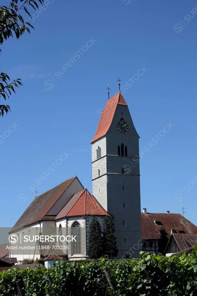 Catholic St. Johann Baptist Church, Hagnau am Bodensee, Bodenseekreis district, Baden-Wuerttemberg, Germany, Europe