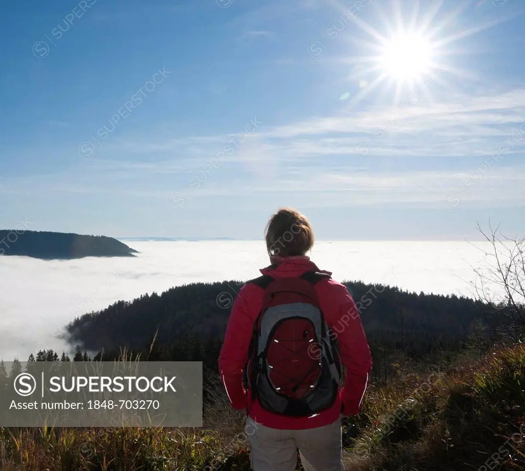 Woman hiker looking at a fog shrouded valley, Black Forest, Baden-Wuerttemberg, Germany, Europe