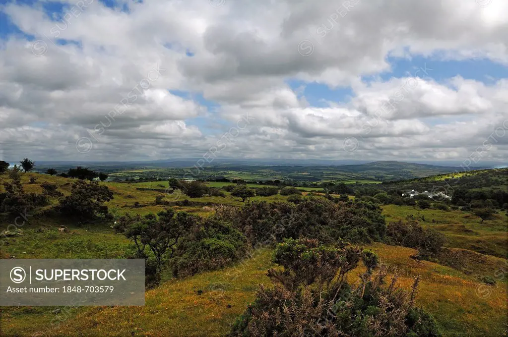 Landscape on Dartmoor near Minions, Dartmoor, Cornwall, England, United Kingdom, Europe