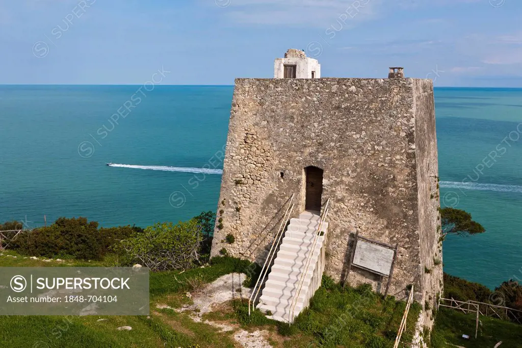 Torre di Monte Pucci, Saracen signal tower, watchtower, Gargano, Foggia, Apulia, Puglia, Southern Italy, Italy, Europe