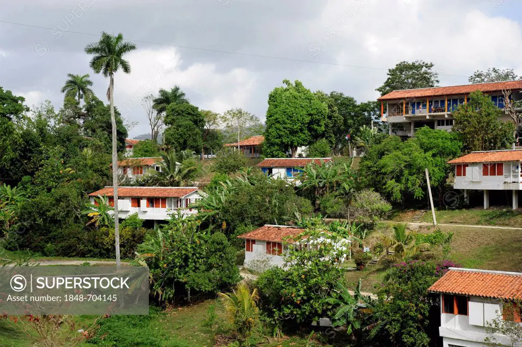 Houses in Las Terrazas, a village cooperative in the nature reserve of the Sierra del Rosario mountain range, Pinar del Rio province, Cuba, Greater An...