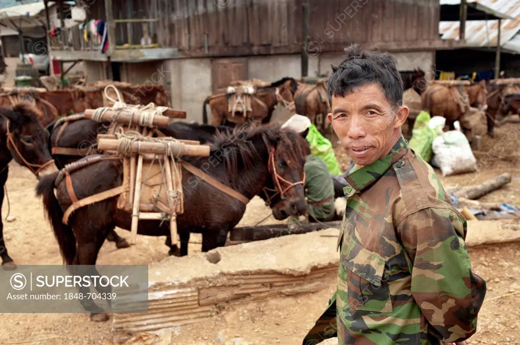 Palong hill tribe man with horses in Norlae village, northern Thailand, Asia