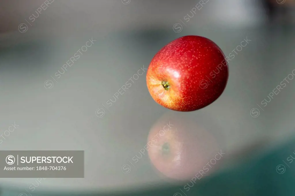 Ripe apple lying on a glass table