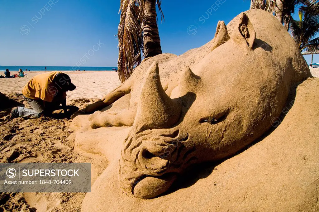 Sand artist, sand sculpture of a rhinoceros at the beach, Durban, KwaZulu-Natal, South Africa, Africa