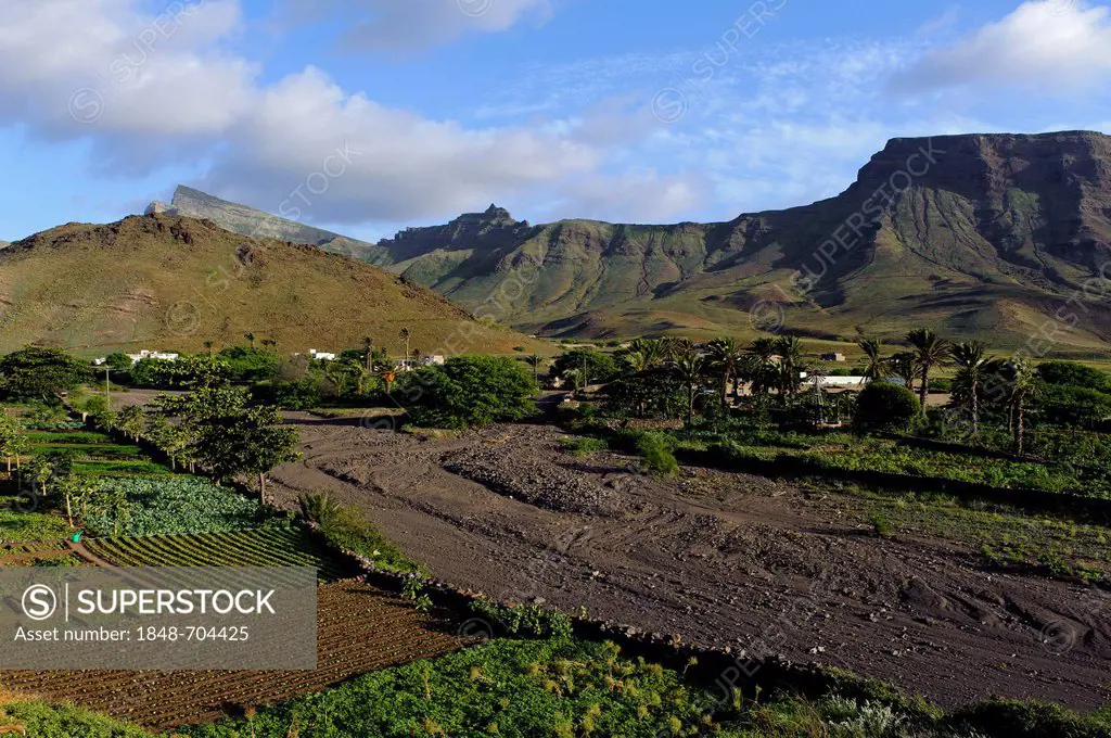 Fields along the Mindelo - Calhau road, Sao Vicente, Cape Verde, Africa