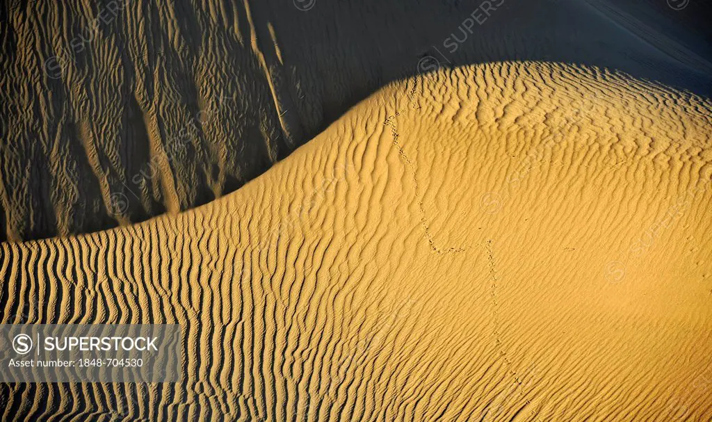 Ripple marks in the sands of the Mesquite Flat Sand Dunes, early morning light, Stovepipe Wells, Death Valley National Park, Mojave Desert, California...