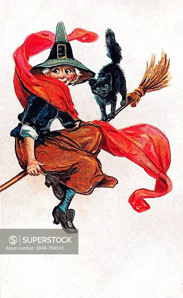 Witch sitting on a broom, black cat, Halloween, illustration