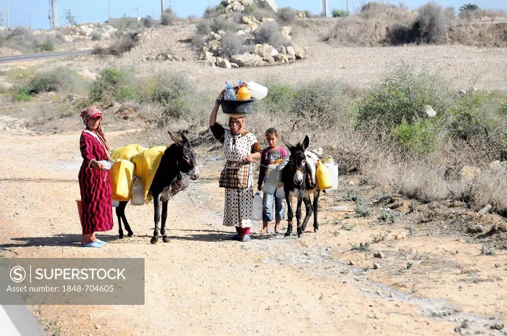 Moroccan family with donkeys on the road to Essaouira, Morocco, North Africa, Africa