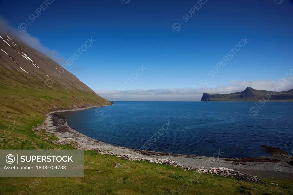 Hornvik, Hornbjarg, West Fjords, Iceland, Europe