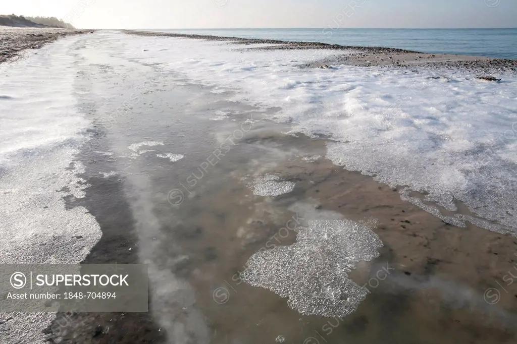 Ice and snow on West Beach of Darss, Bodden Landscape of Vorpommern National Park, Mecklenburg-Western Pomerania, Baltic Sea, Germany, Europe
