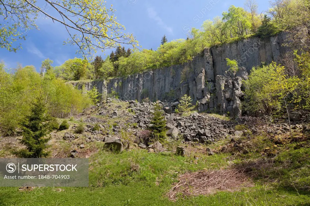Basalt columns on Poehlberg mountain, 832m, Annaberg-Buchholz, Ore Mountains, Saxony, Germany, Europe