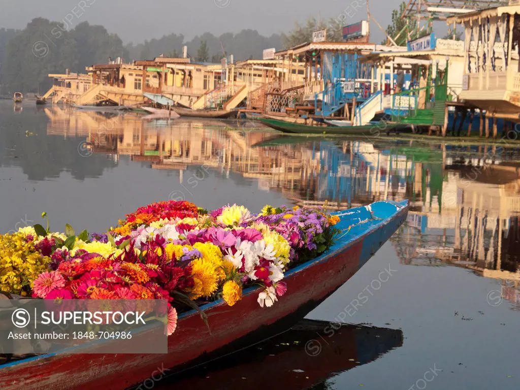 Flowers are sold from a Shikara, traditional boat on Dal Lake, Srinagar, Jammu and Kashmir, India, Asia