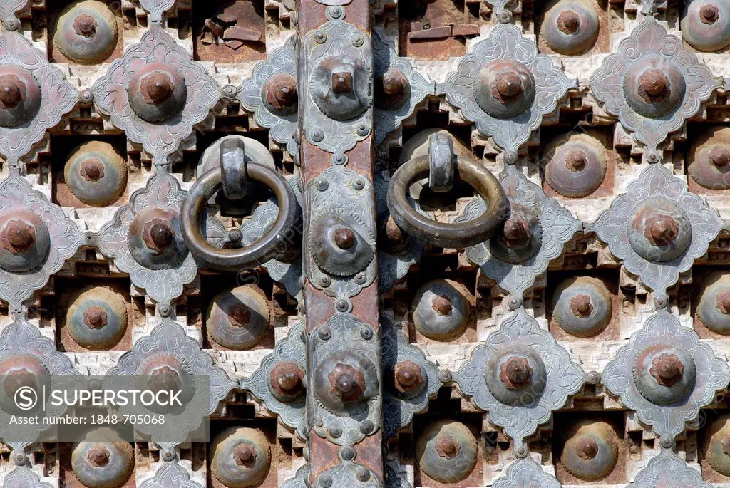 Detail of a door, Alsisar, Shekawati, Rajasthan, North India, India, Asia