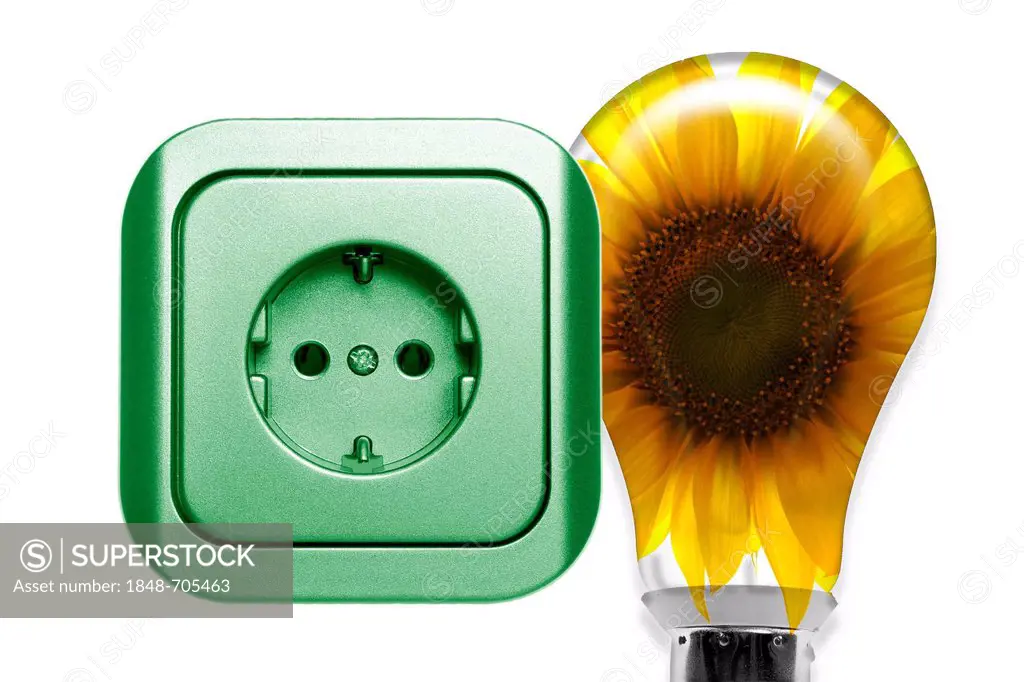 Illustration, socket and a light bulb, symbolic image for renewable energy