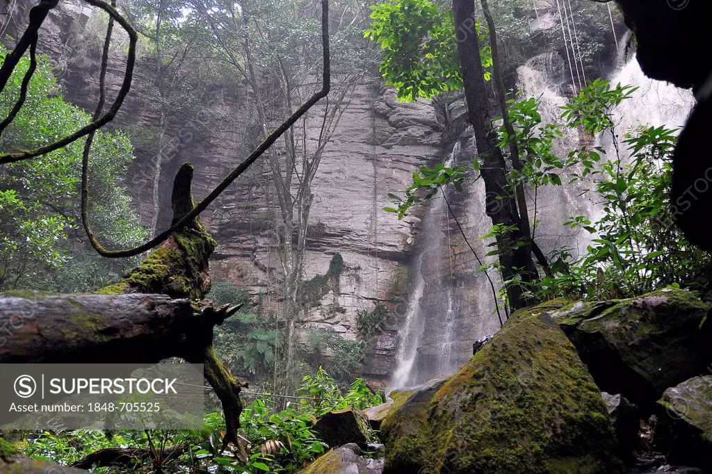 Subtropical rain forest with a waterfall, Chapada Diamantina, Bahia, Brazil, South America