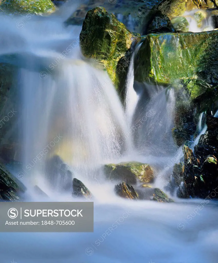Water flowing over rocks, small waterfall, Glasbach creek, North Rhine-Westphalia, Germany, Europe