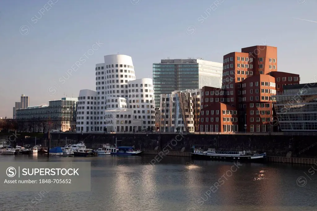 Gehry buildings by architect Frank O. Gehry, Neuer Zollhof, Medienhafen harbour, Duesseldorf, state capital, Rhineland, North Rhine-Westphalia, German...