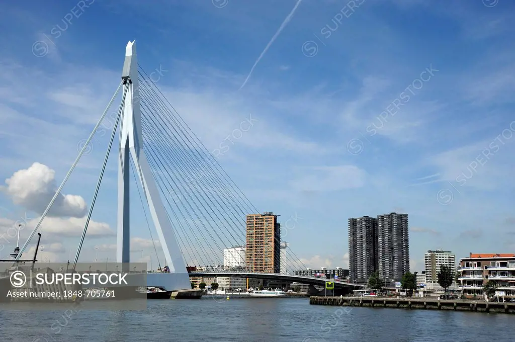 Erasmusbrug, Erasmus Bridge crossing the Nieuwe Maas River, Rotterdam, Holland, Nederland, Netherlands, Europe
