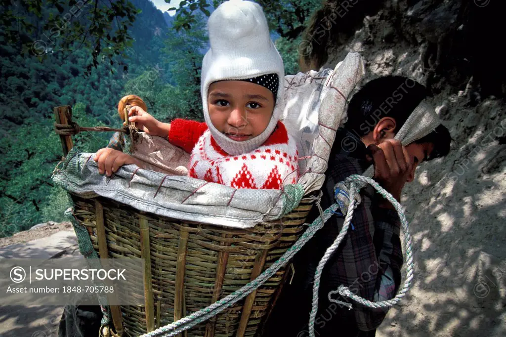 Sikh child in a carrying basket, carrier, near Govindghat, Chamoli district, Uttarakhand, formerly Uttaranchal, Indian Himalayas, North India, India, ...