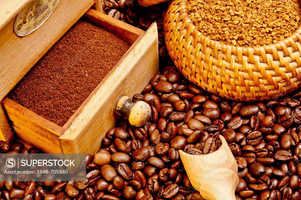 Freshly ground coffee in a coffee grinder with coffee beans and instant coffee