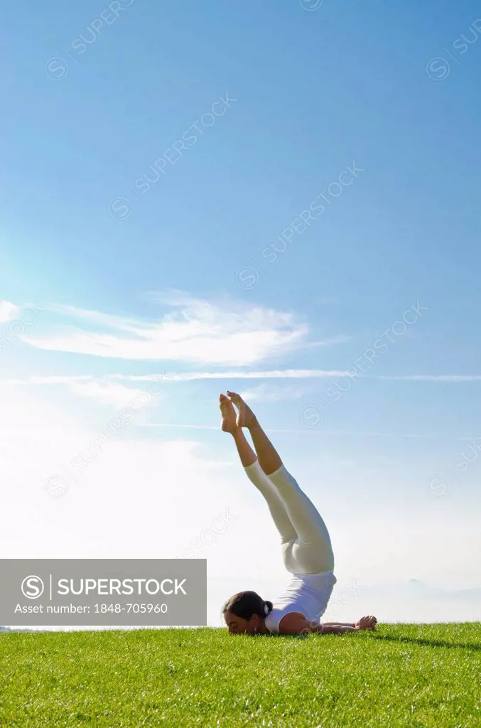 Young woman practising Hatha yoga outdoors, showing the pose shalabhasana, locust, Nove Mesto, Okres Teplice, Czech Republic, Europe