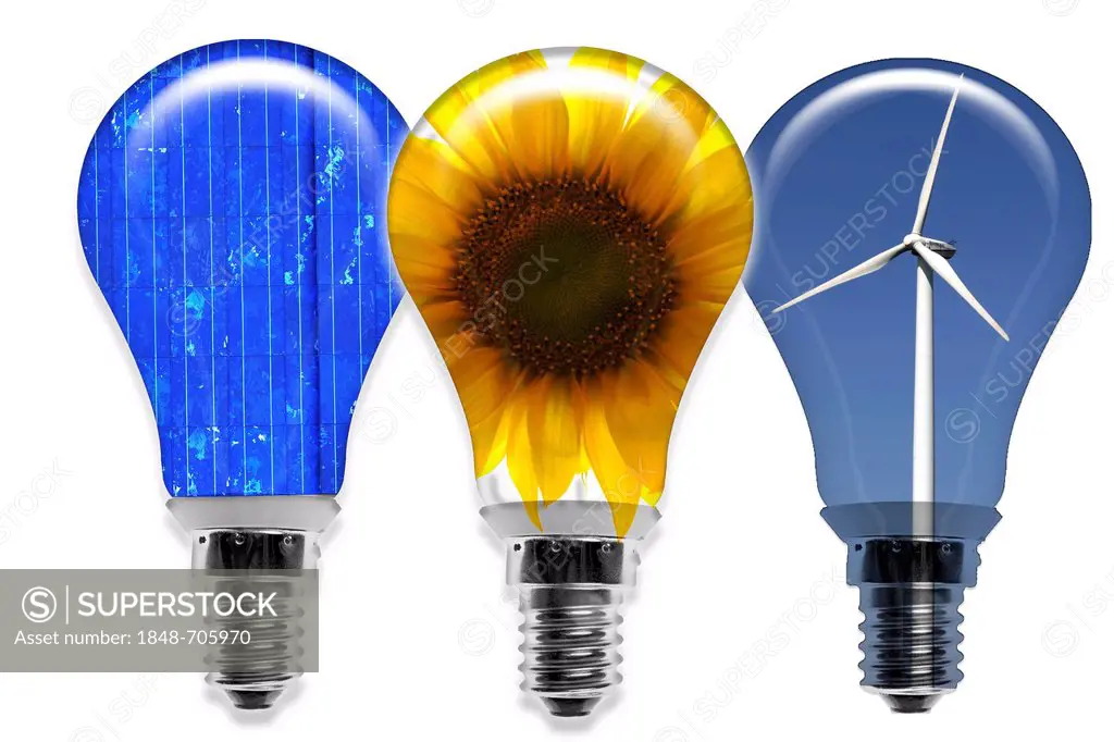 Incandescent bulbs filled with solar cells, a sunflower and a wind turbine, symbolic image for alternative energy