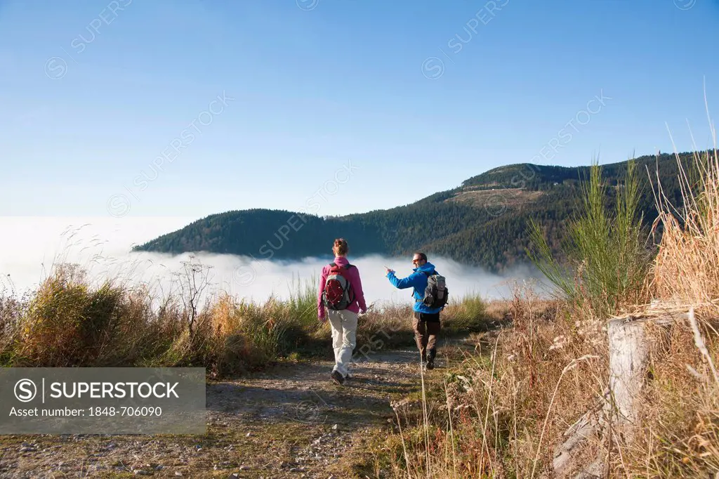 Couple hiking in the Black Forest, Baden-Wuerttemberg, Germany, Europe