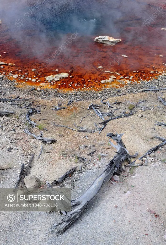 Echinus Geyser, geyser with the highest percentage of acid in the world, Back Basin, Norris Geyser Basin, geysers, colored thermophilic bacteria, geot...