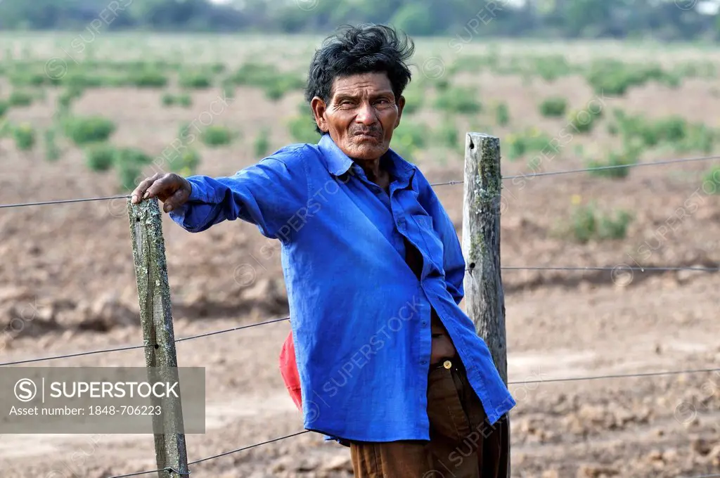 Land grabbing, Pedro Segundo of the Wichi Indians tribe, the cacique, community leader, of the community San José, standing at a fence, that restricts...