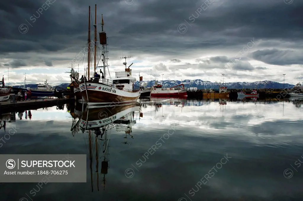 Whale watching boat in the port of Húsavík, Norðurland, Nordurland eystra, North-East Iceland, Iceland, Europe