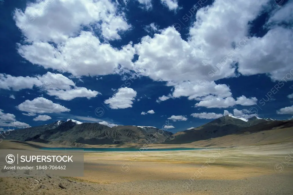 High plain, near the Tso Khar salt lake, Changthang, Ladakh, Indian Himalayas, Jammu and Kashmir, northern India, India, Asia