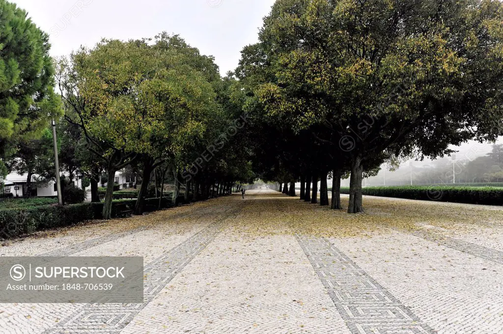 Avenue of trees in Parque Eduardo VII to Praca Marques de Pombal, Lisbon, Lisboa, Portugal, Europe