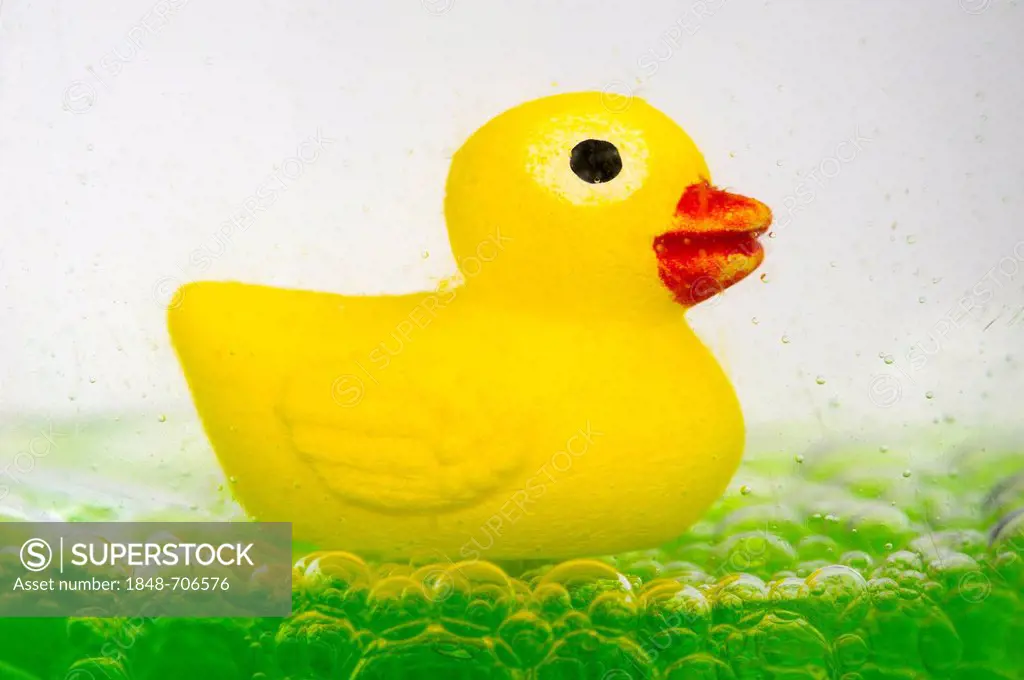 Yellow rubber duck on green oil bubbles