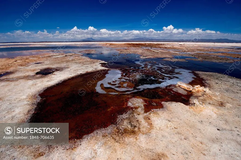Sulfur spring, Salar de Uyuni salt lake, Uyuni, Bolivia, South America