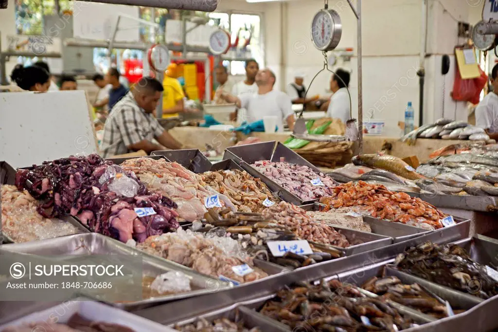 Freshly caught fish and seafood at the fish market in Panama City, Panama, Central America