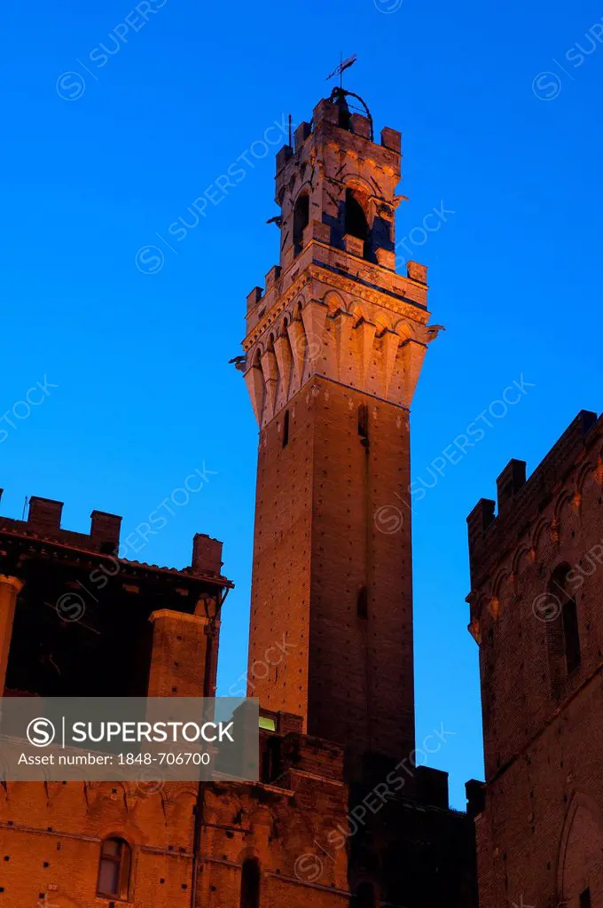 Palazzo Comunale and Torre del Mangia tower at dusk, Siena, Tuscany, Italy, Europe