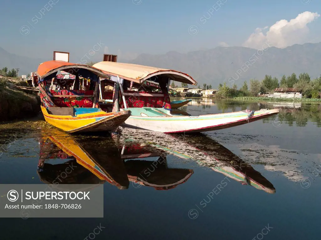 Shikaras, traditional boats on Dal Lake, Srinagar, Jammu and Kashmir, India, Asia