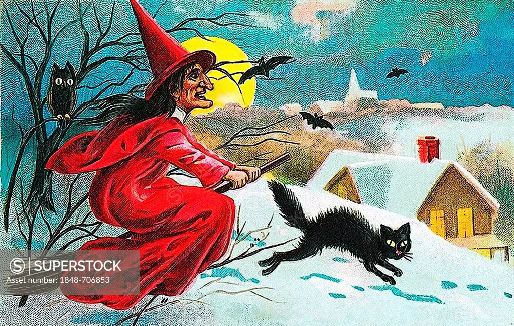 Witch on broomstick, black cat, winter landscape, Halloween, illustration