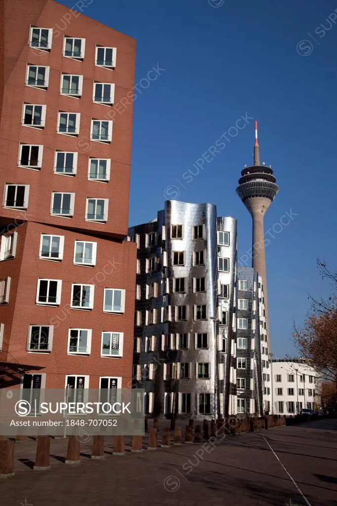 Gehry buildings by architect Frank O. Gehry, Rheinturm tower, Neuer Zollhof, Medienhafen harbour, Duesseldorf, state capital, Rhineland, North Rhine-W...