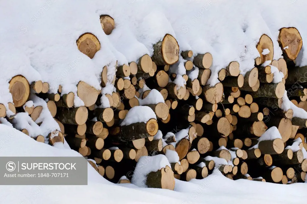 Stacked firewood, beech wood, in the snow