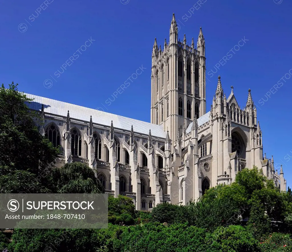 Neogothic tower of the cathedral seen from the Bishop's Garden, Washington National Cathedral or Cathedral Church of Saint Peter and Saint Paul in the...