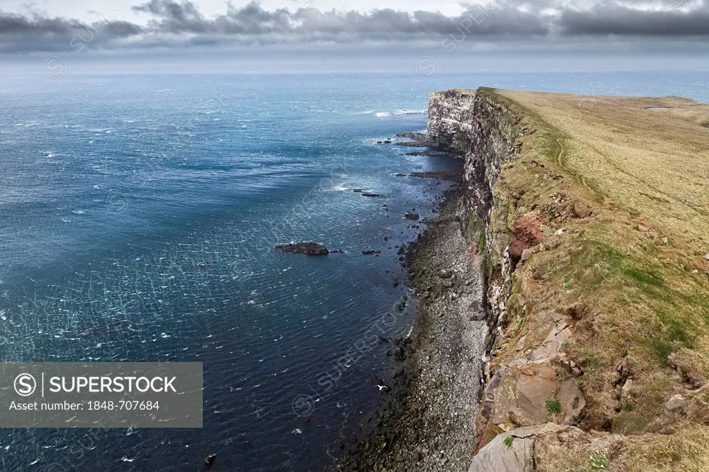 Cliffs and sea on the coast of Látrabjarg, Lautrabag, famous bird rocks at Cape Bjargtangar, the westernmost point of Iceland, Westfjords, Iceland, Eu...