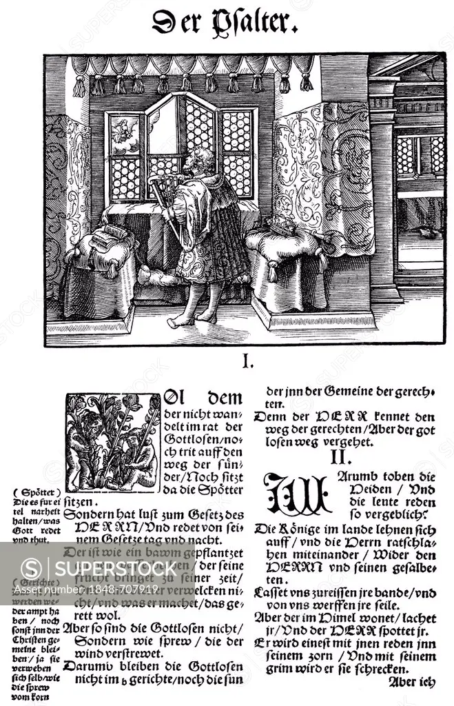Historic print, woodcut of 1534, a page of the first translation of the Bible by Martin Luther, 1483 - 1546, from Bildatlas zur Geschichte der Deutsch...